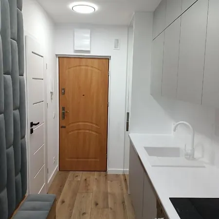 Droinvest Apartament Jarzebinowa - Krzyki - Pkp - Ue * Βρότσλαβ